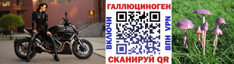 Псилоцибиновые грибы MAGIC MUSHROOMS  где найти наркотики  Беслан 