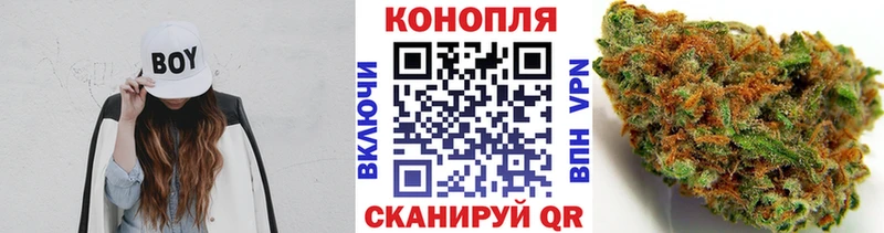 Марихуана сатива  Беслан 